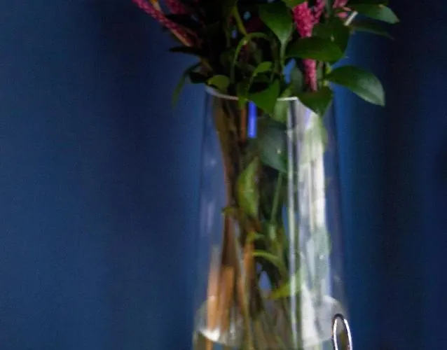 Pateo - Lounge 酒店 Lisboa